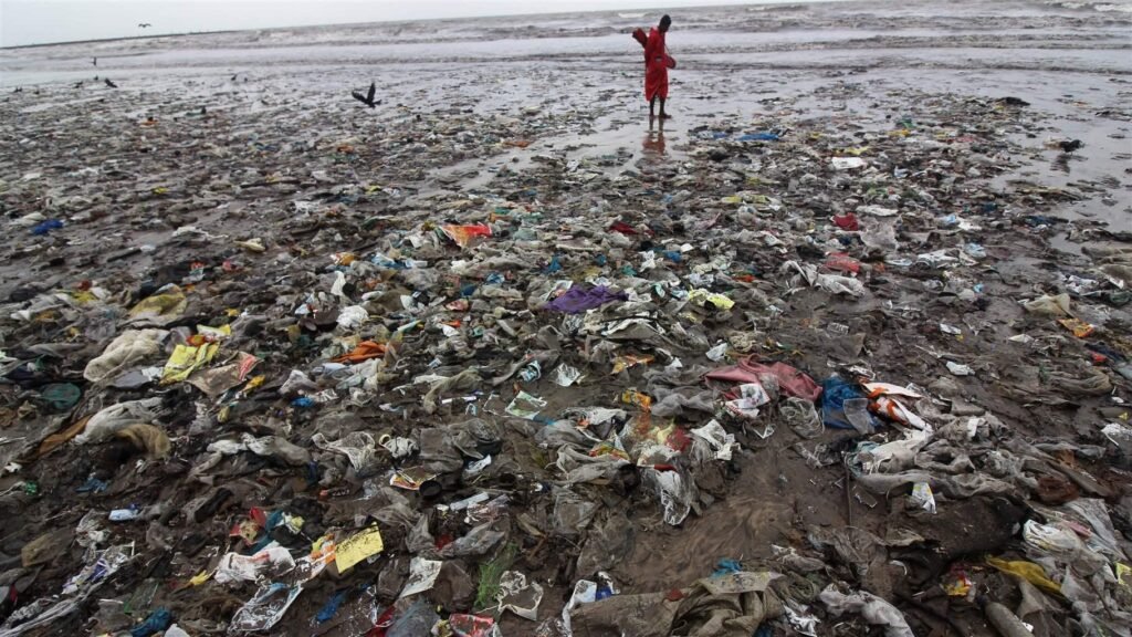 The Impact of Plastic Waste on Earth